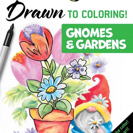 Creative Haven Gardens  Gnomes Draw the Lines