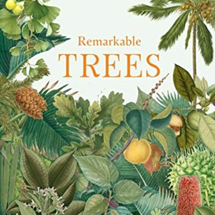 Remarkable Trees