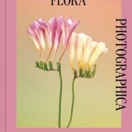 Flora Photographica: The Flower in Contemporary Photography