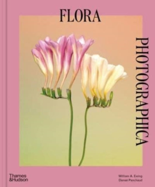 Flora Photographica: The Flower in Contemporary Photography