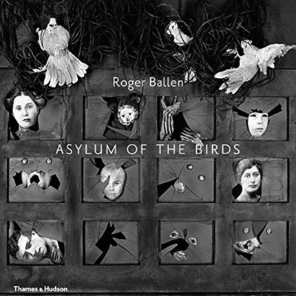 Asylum of the Birds