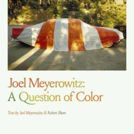 Joel Meyerowitz: A Question of Color