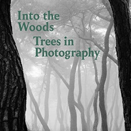 Into the Woods: Trees in Photography