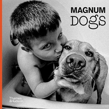 Magnum Dogs