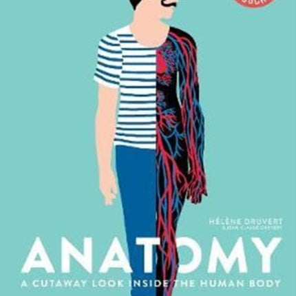 Anatomy: A Cutaway Look Inside the Human Body