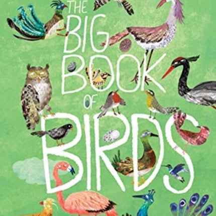 The Big Book of Birds