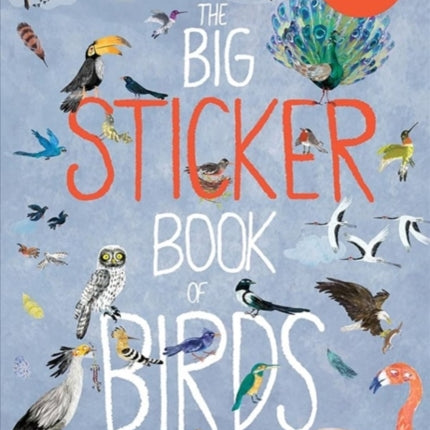 The Big Sticker Book of Birds