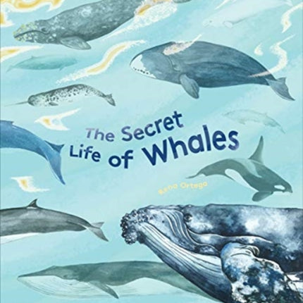 The Secret Life of Whales