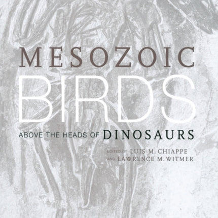 Mesozoic Birds: Above the Heads of Dinosaurs