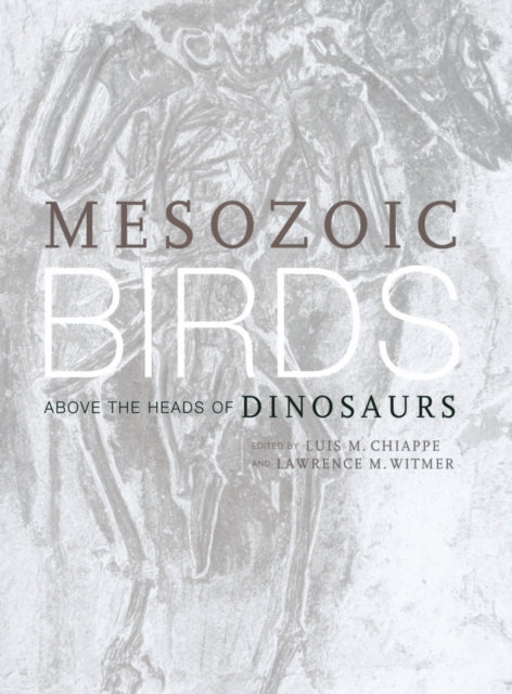 Mesozoic Birds: Above the Heads of Dinosaurs