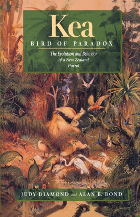 Kea, Bird of Paradox: The Evolution and Behavior of a New Zealand Parrot