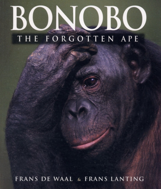 Bonobo: The Forgotten Ape