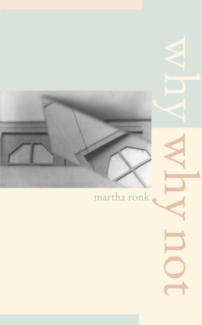 WhyWhy Not New California Poetry 8