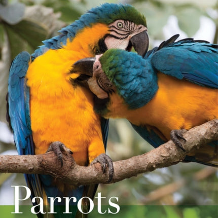 Parrots of the Wild: A Natural History of the World’s Most Captivating Birds