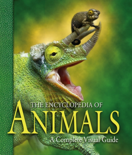 The Encyclopedia of Animals  a Complete Visual Guide