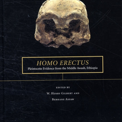 Homo erectus