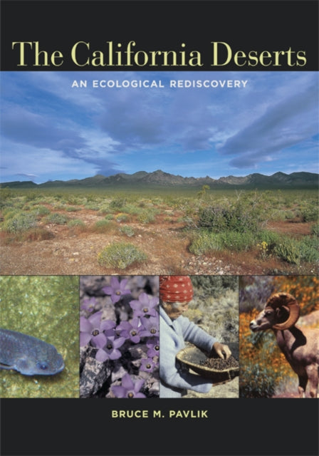 The California Deserts: An Ecological Rediscovery