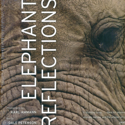 Elephant Reflections