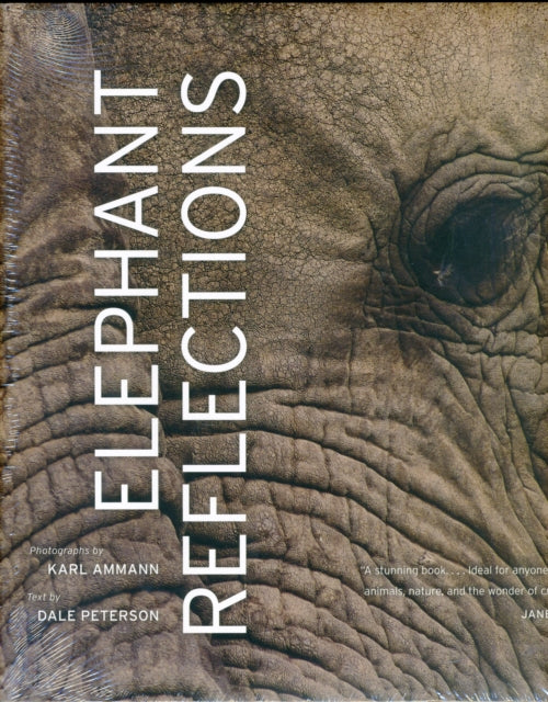 Elephant Reflections