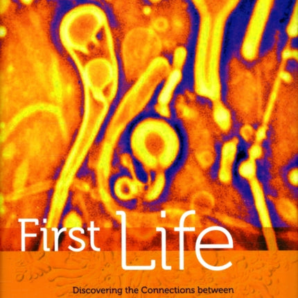 First Life Discovering the Connections Between Stars Cells and How Life Began