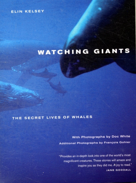 Watching Giants: The Secret Lives of Whales