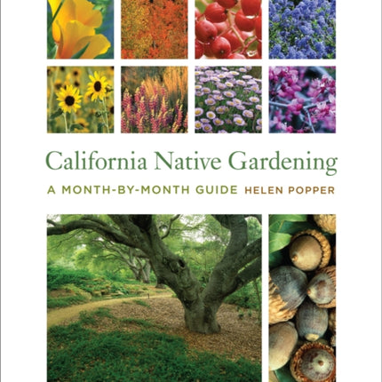 California Native Gardening: A Month-by-Month Guide