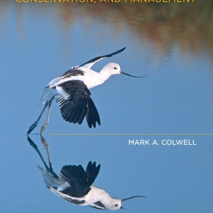 Shorebird Ecology, Conservation, and Management