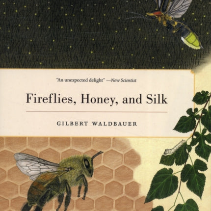 Fireflies, Honey, and Silk