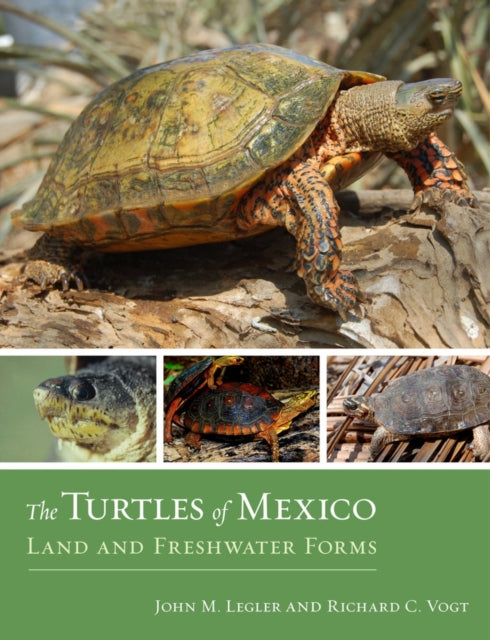 The Turtles of Mexico: Land and Freshwater Forms