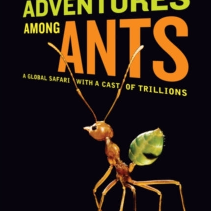 Adventures among Ants: A Global Safari with a Cast of Trillions