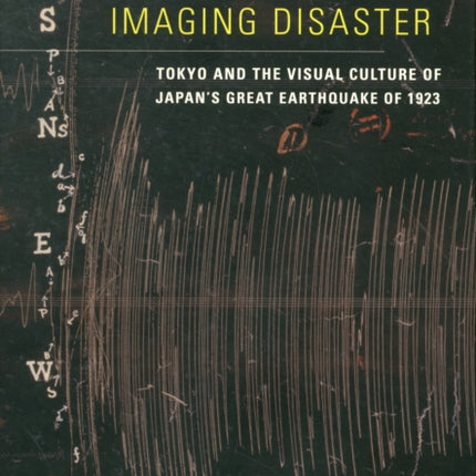 Imaging Disaster