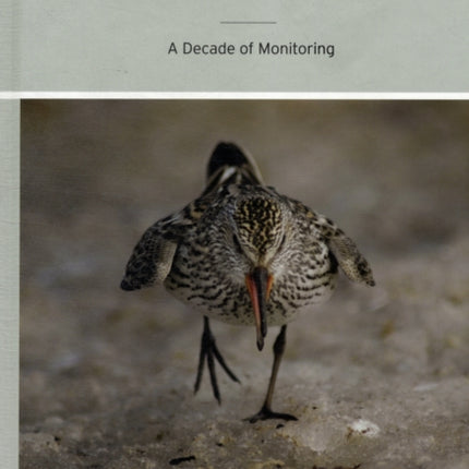 Arctic Shorebirds in North America: A Decade of Monitoring