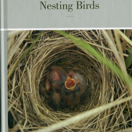 Video Surveillance of Nesting Birds