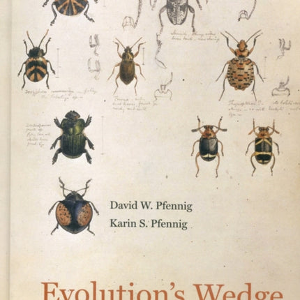 Evolution's Wedge: Competition and the Origins of Diversity