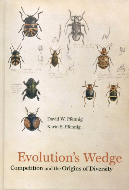 Evolution's Wedge: Competition and the Origins of Diversity