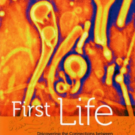 First Life
