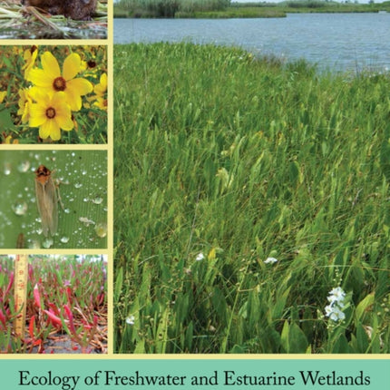 Ecology of Freshwater and Estuarine Wetlands