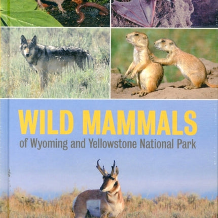 Wild Mammals of Wyoming and Yellowstone National