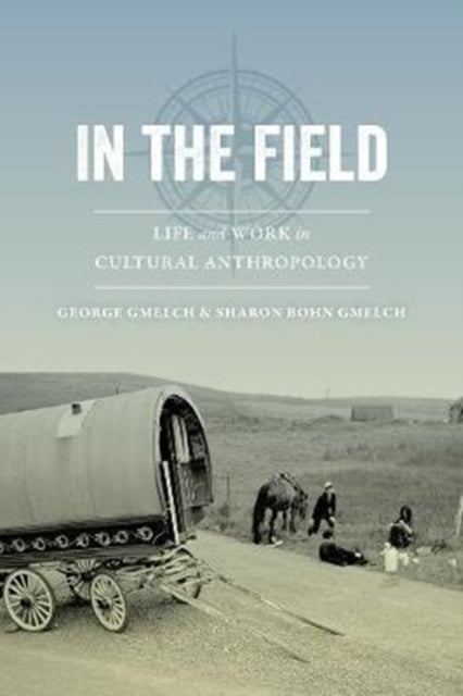 In the Field  Life and Work in Cultural