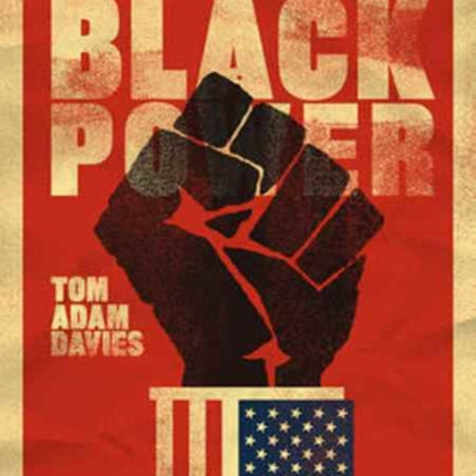 Mainstreaming Black Power