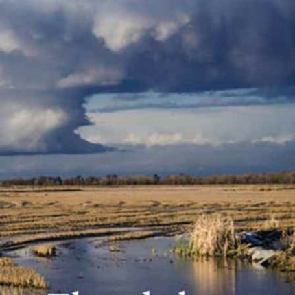 Floodplains