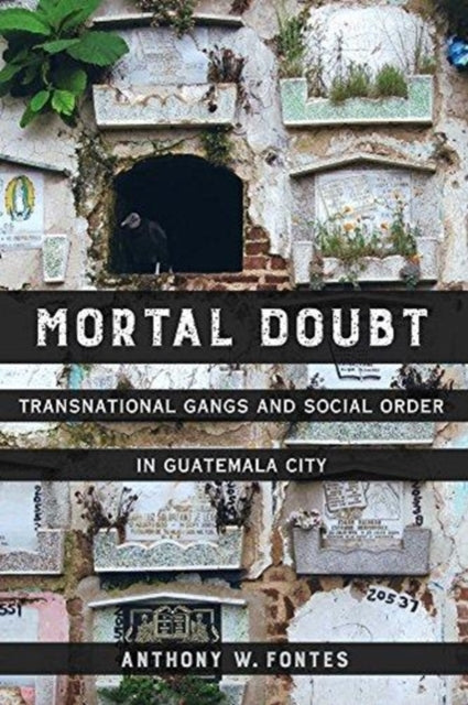 Mortal Doubt: Transnational Gangs and Social Order in Guatemala City