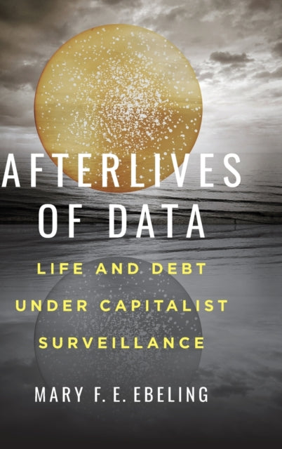 Afterlives of Data  Life and Debt under