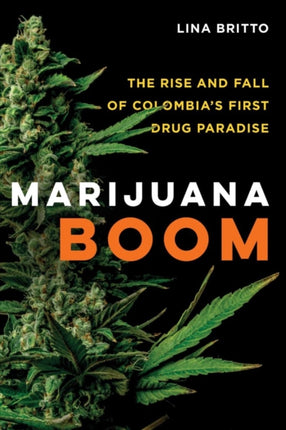 Marijuana Boom The Rise and Fall of Colombias