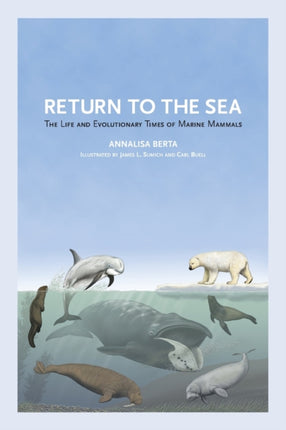 Return to the Sea: The Life and Evolutionary Times of Marine Mammals