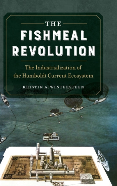 The Fishmeal Revolution The Industrialization of the Humboldt Current Ecosystem