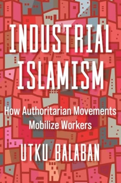 Industrial Islamism  How Authoritarian Movements