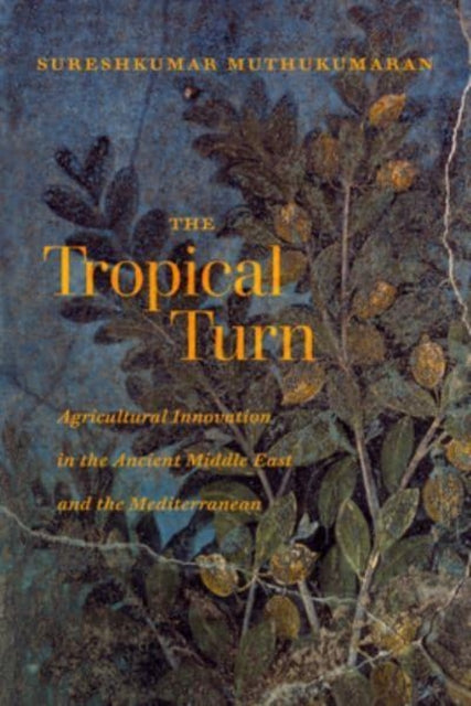 The Tropical Turn  Agricultural Innovation in the