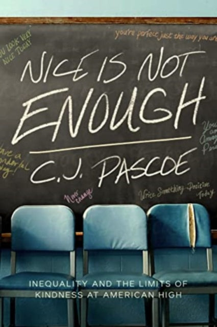 Nice Is Not Enough  Inequality and the Limits of