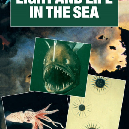 Light and Life in the Sea